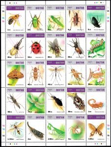 Insects and Arachnids