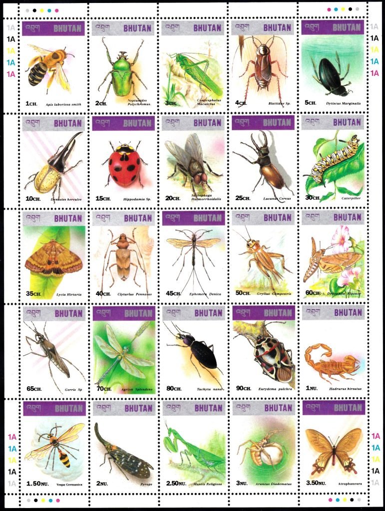 Insects and Arachnids