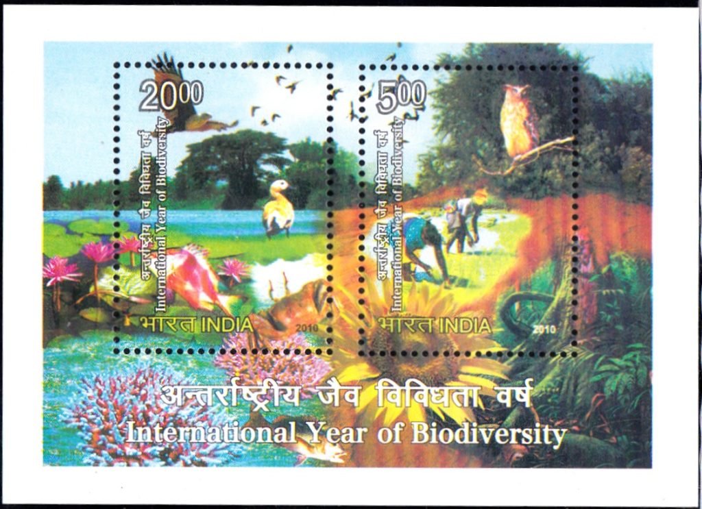 India on International Year of Biodiversity 2010