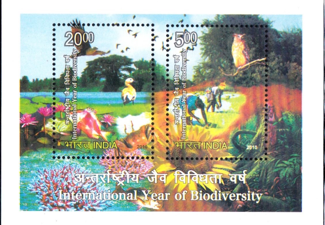 India on International Year of Biodiversity 2010