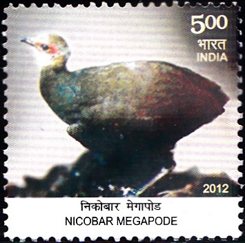 Megapodius nicobariensis, Nicobar Islands