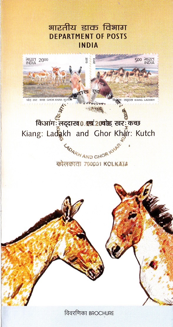 Tibetan and Indian Wild Ass (Ladakh and Little Rann of Kutch)