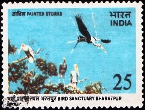Bird Sanctuary, Bharatpur