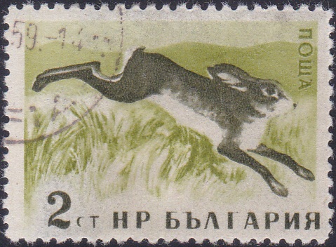 1004 Hare [Bulgaria Stamp]