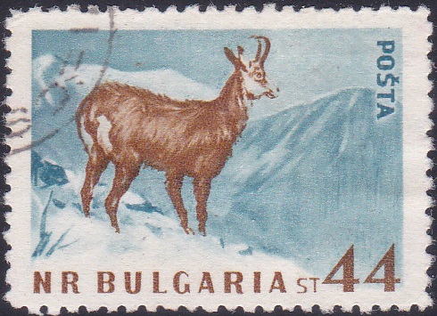 1007 Chamois [Bulgaria Stamp]
