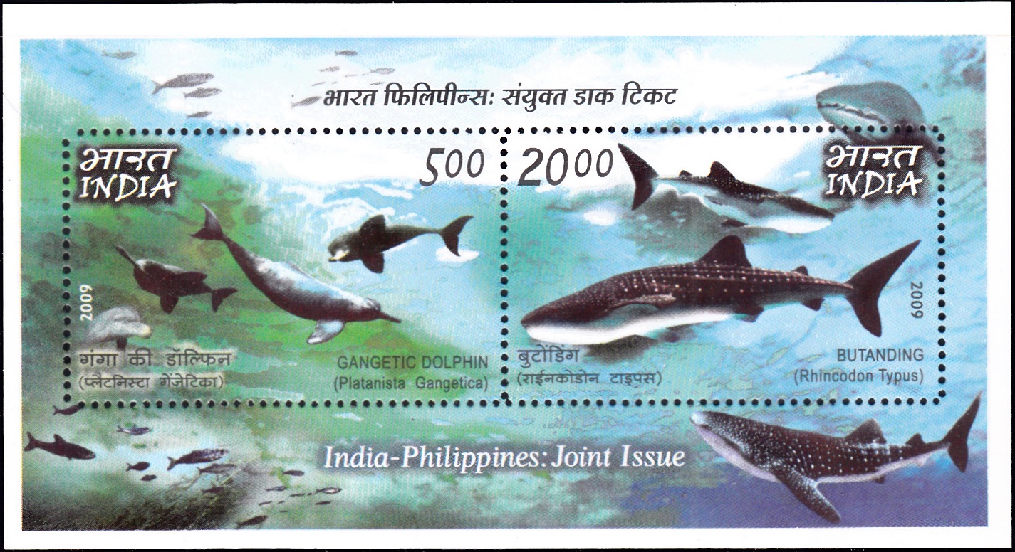Whale Shark and South Asian River Dolphin