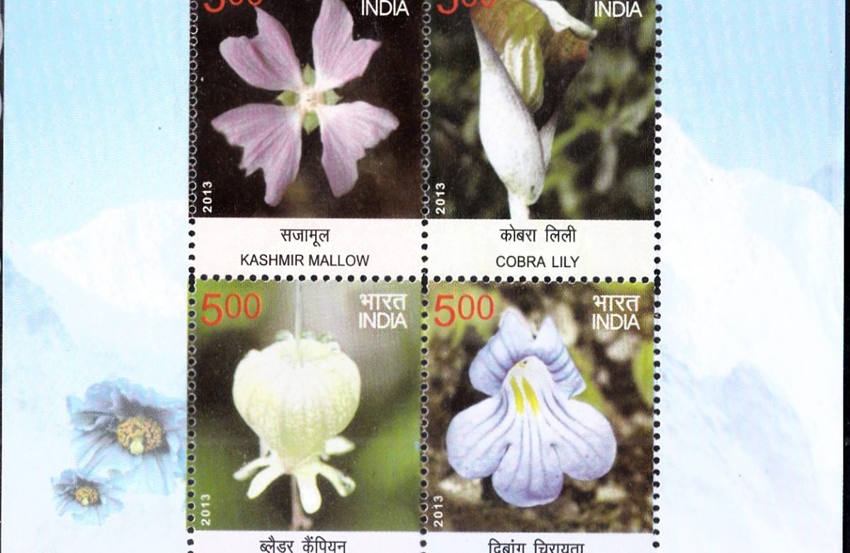 Wild Flowers of India 2013