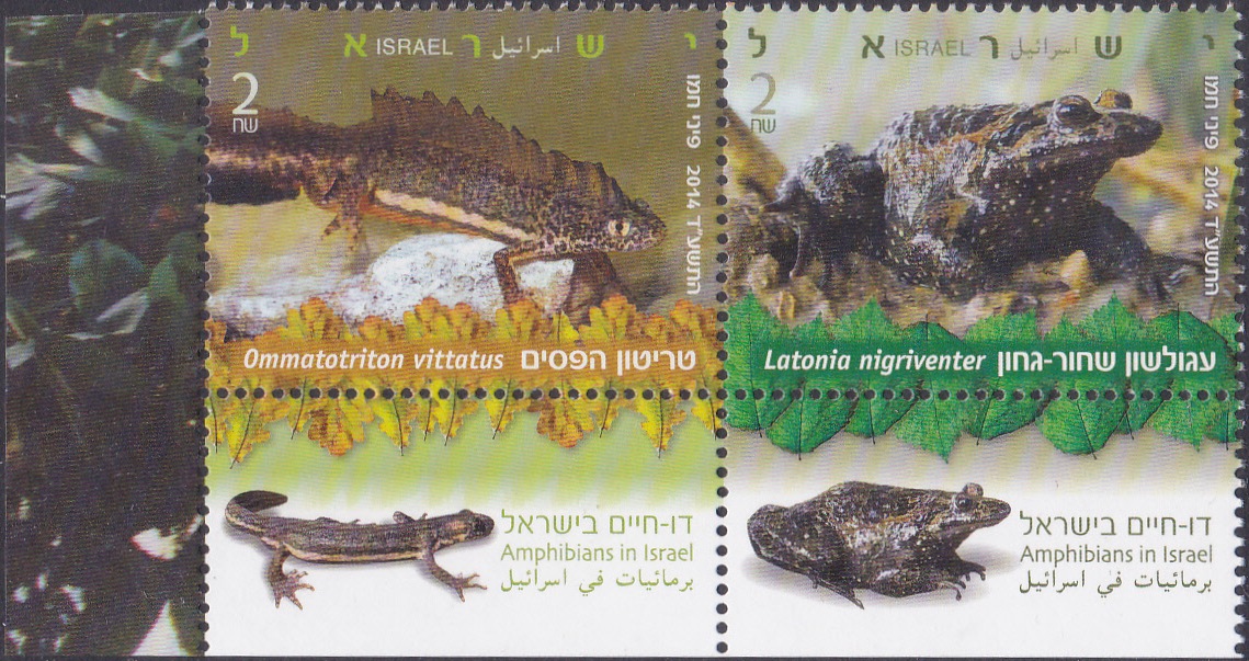 1. Amphibians in Israel [Israel Stamp 2014]