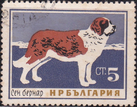 1352 St. Bernard [Dogs]