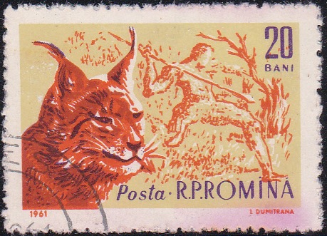 1426 Lynx and Prehistoric Hunter [Romania Stamp]