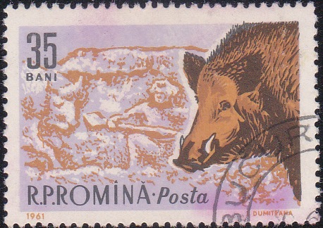1427 Boar and Roman hunter [Romania Stamp]