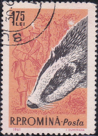 1433 Badger and hunter [Romania Stamp]
