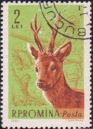 1434 Roebuck and hunter [Romania Stamp]