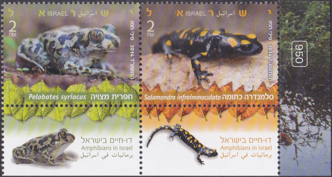 2. Amphibians in Israel [Israel Stamp 2014]