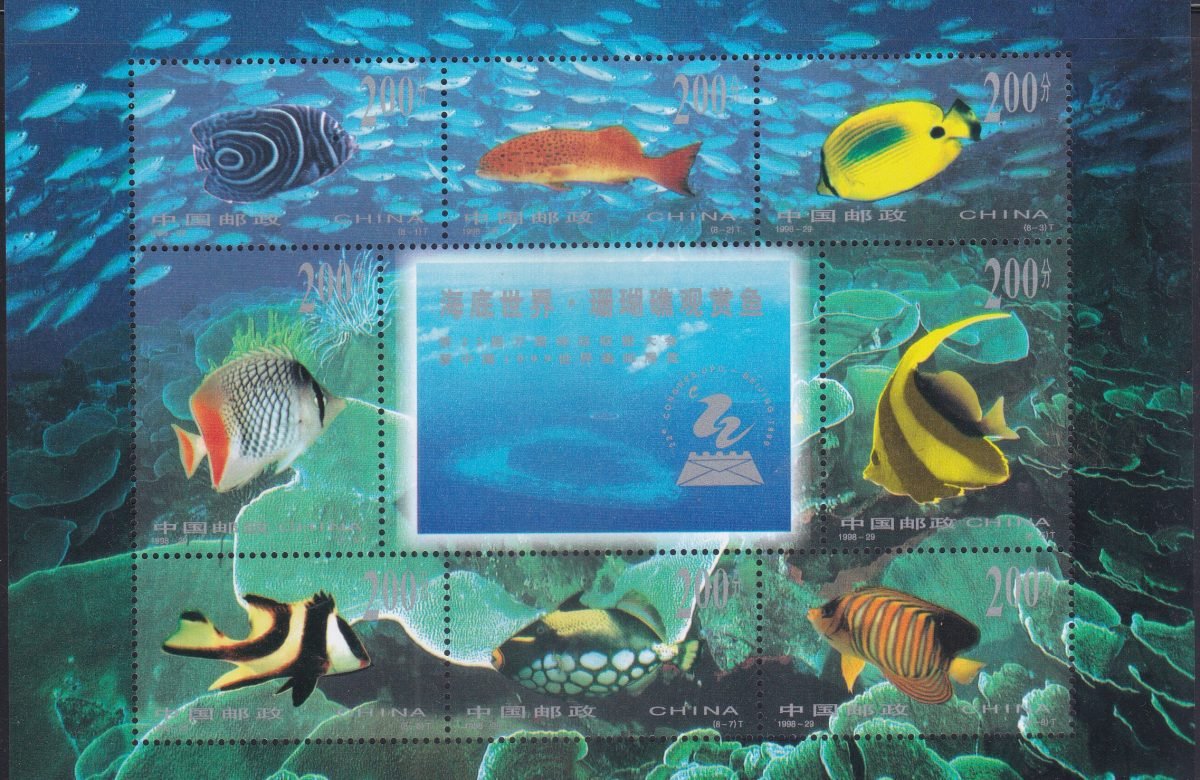 Fish of the Coral Reef