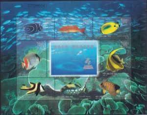 Fish of the Coral Reef