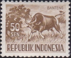 Animals of Indonesia