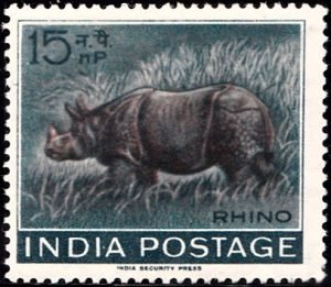Indian Rhinoceros