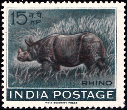 India's Wild Life : Rhino