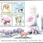 India on International Year of Physics 2005