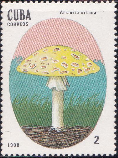 3001 Amanita Citrina [Poisonous Mushrooms] Cuba Stamp 1988