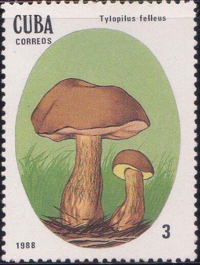 3002 Tylopilus Felleus [Poisonous Mushrooms] Cuba Stamp 1988