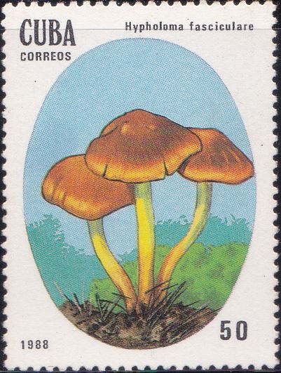 3006 Hypholoma Fasciculare [Poisonous Mushrooms] Cuba Stamp 1988