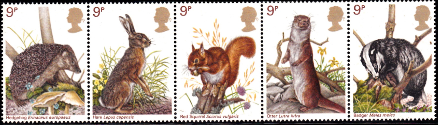 816-820 Wildlife Protection [England Setenant Stamp 1977]