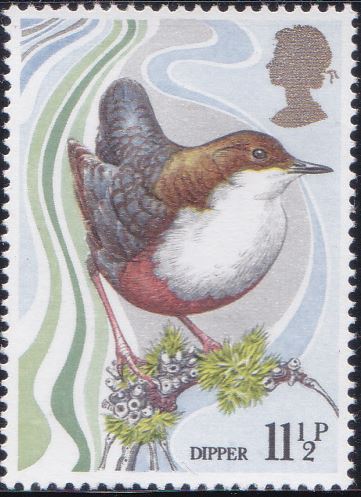 885 Dipper [England Stamp 1980]