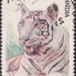 Festival of USSR in India