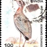 Baba Kharak Singh