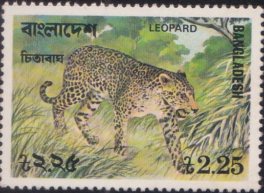 132 Leopard [Bangladesh Stamp 1977]