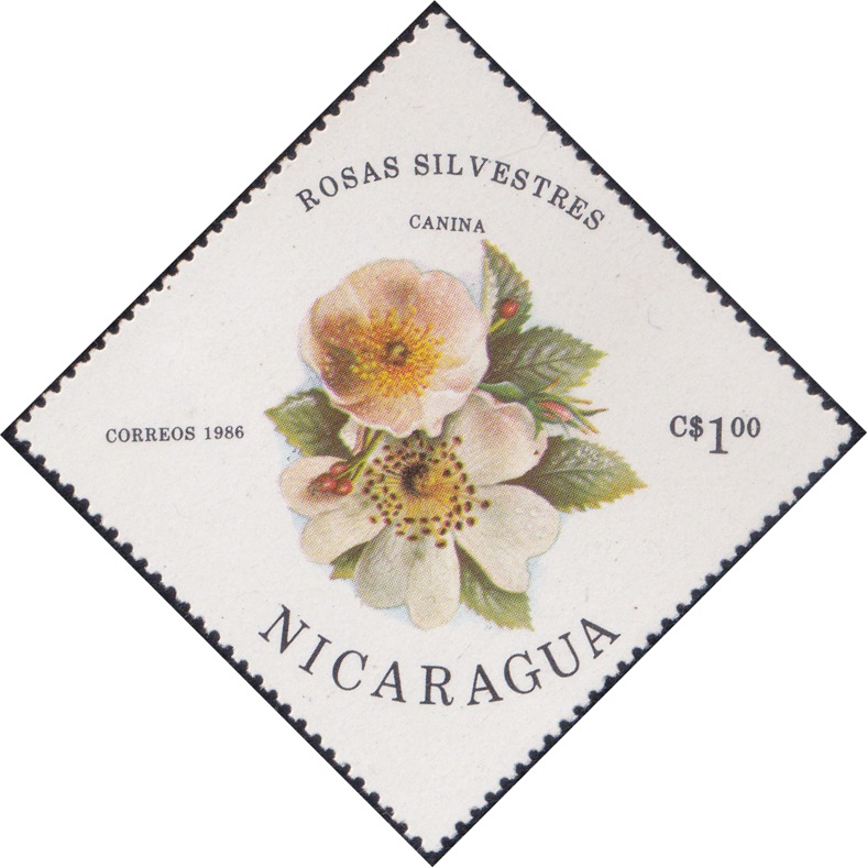 1495 Canina (Rosas Silvestres) [Nicaragua Diamond Stamp 1986]