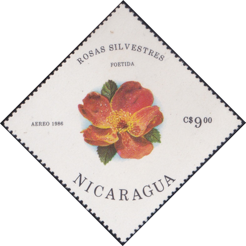 1498 Foetida (Rosas Silvestres) [Nicaragua Diamond Airmail Stamp 1986]