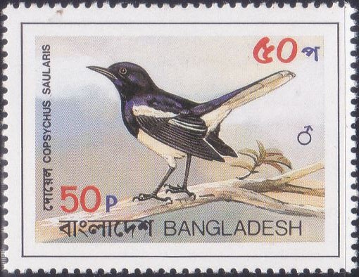 221 Magpie Robin - Doel Bird [Bangladesh Stamp 1983]