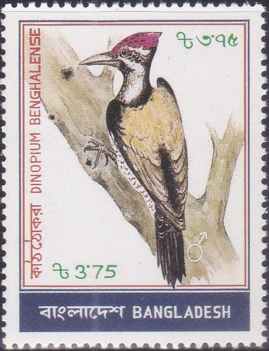 223 Woodpecker - Kaththokra Bird [Bangladesh Stamp 1983]