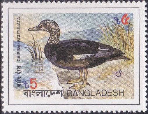224 Wood Duck - Badi Hans Bird [Bangladesh Stamp 1983]