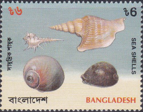 466 Snails - Sea Shells [Bangladesh Stamp 1994]