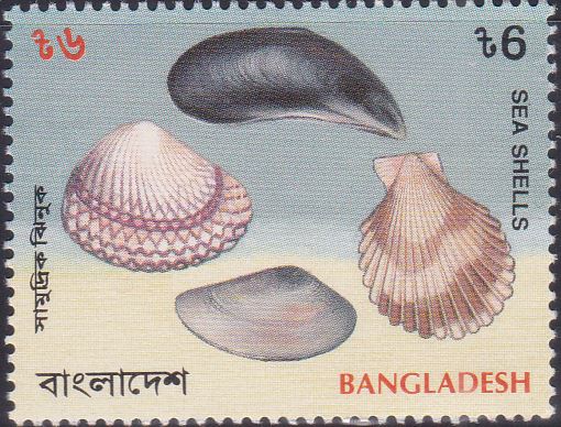 467 Scallop - Sea Shells [Bangladesh Stamp 1994]