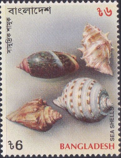 468 Spiral Shape - Sea Shells [Bangladesh Stamp 1994]