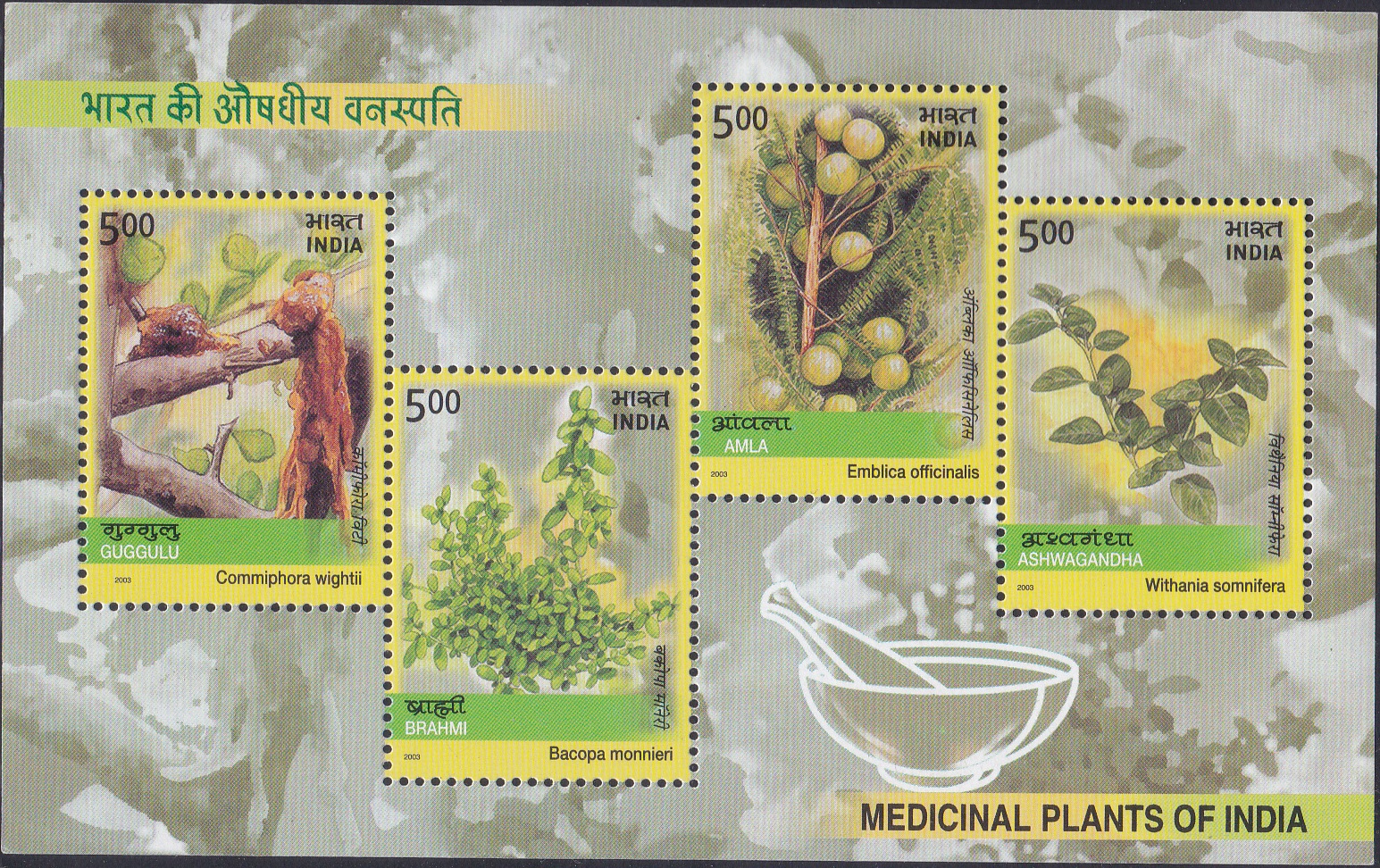Indian Medicinal Plants (Ayurveda)