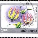 India on Phonograph