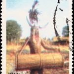 India on Environmental Conservation 1981