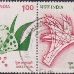 Indian Orchids 1991