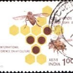 India on 4th World Book Fair 1980