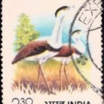 Nepal on World Tourism Conference 1980