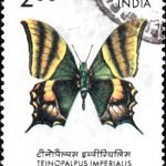 Nepal on International Hotel Association 1981