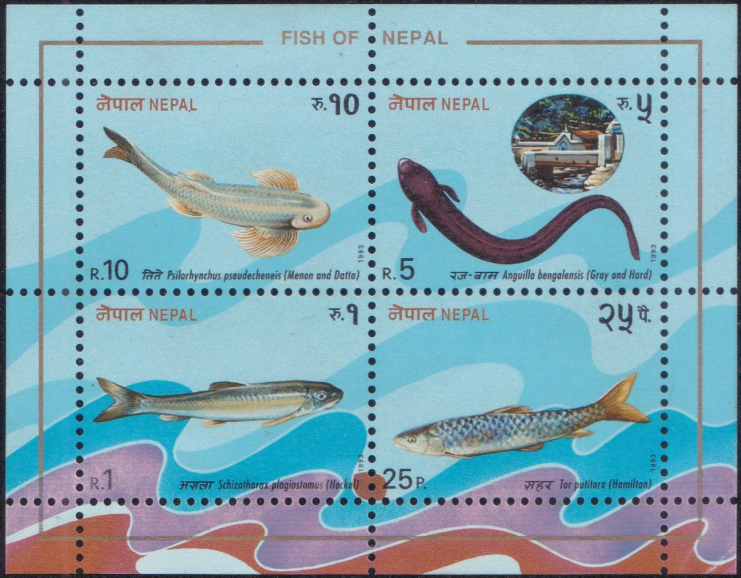 Fishes from Nepal : Block of 4