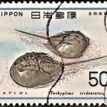 Japan on World Figure Skating Championships 1977