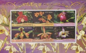 Orchids in India